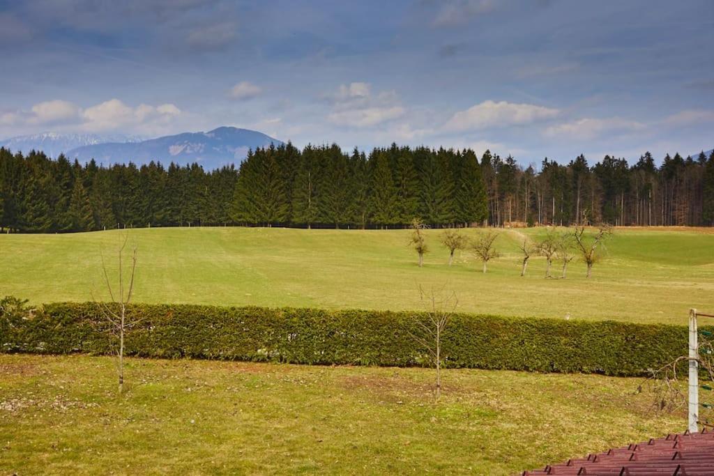 Countryside House Near Bled Apartment Podnart ภายนอก รูปภาพ